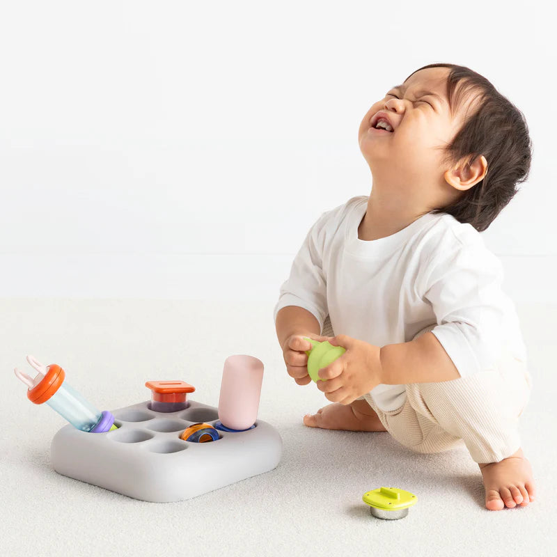1curiosity Nook Toy (suitable 10-24 months)